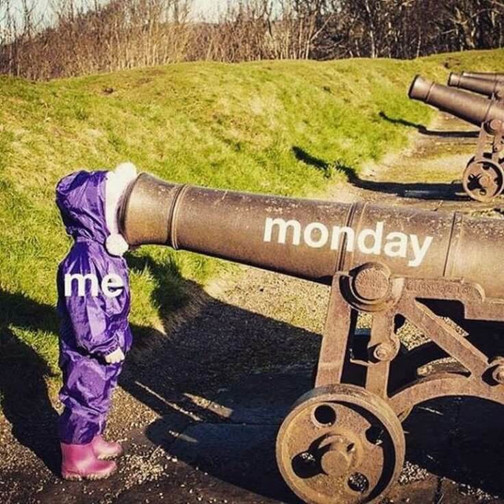 Cannon pointing at child’s face Monday funny meme