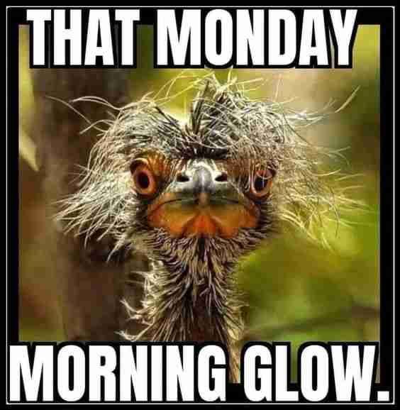 Monday morning glow meme